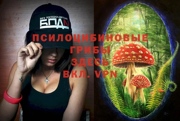spice Нязепетровск